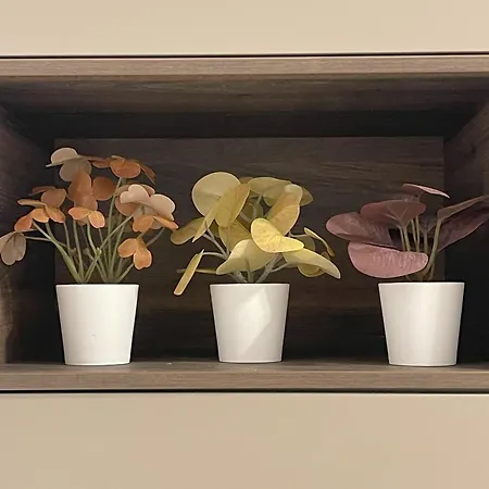 Apartamento La Rosa Del