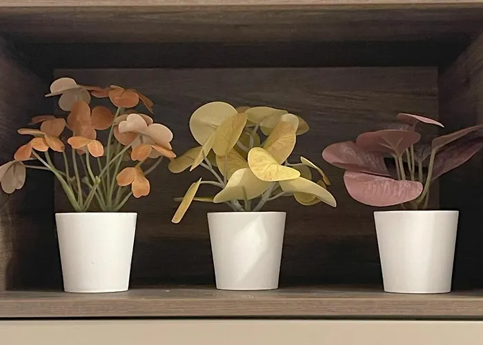 Daire La Rosa Del